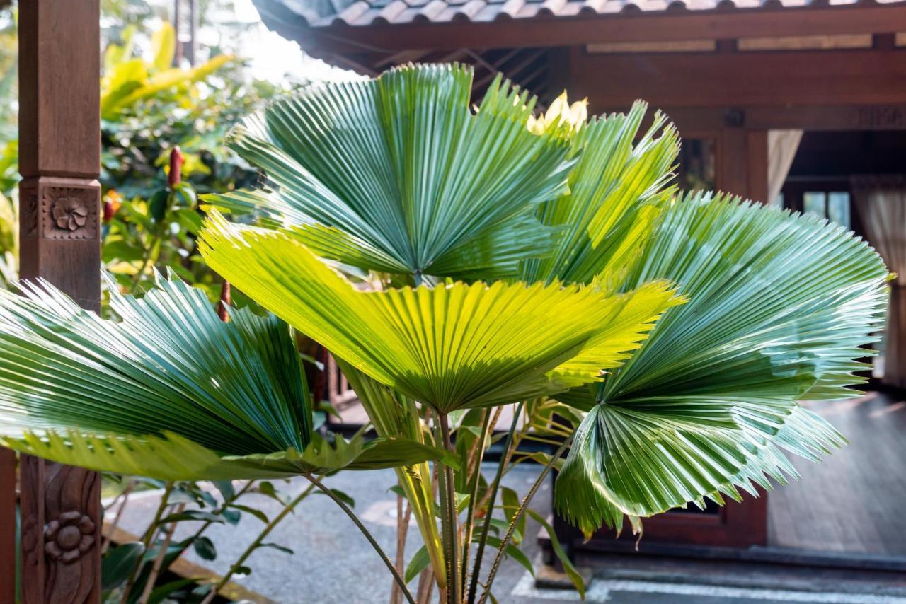 Villa Waturenggong Ubud Exterior photo